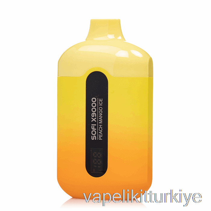 Vape Türkiye Sofi X9000 Akıllı Tek Kullanımlık şeftali Mango Buz